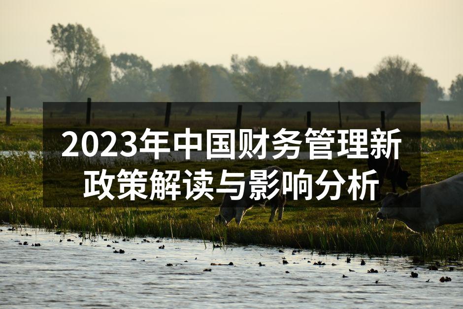 2023年中国财务管理新政策解读与影响分